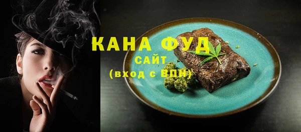 индика Абинск