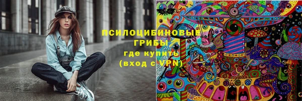 ПСИЛОЦИБИНОВЫЕ ГРИБЫ Абдулино
