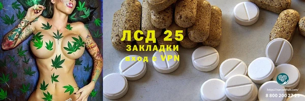 ПСИЛОЦИБИНОВЫЕ ГРИБЫ Абдулино