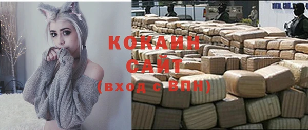 индика Абинск