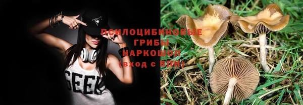 индика Абинск