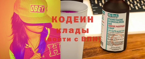индика Абинск