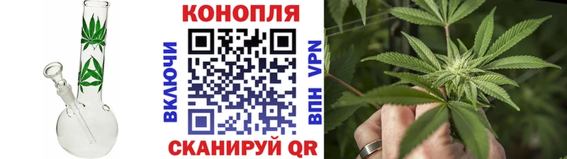 купить   Дальнереченск  МАРИХУАНА Amnesia 